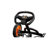 BERG Buddy Pro